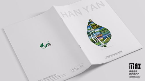 廣州設(shè)計(jì)公司 專業(yè)企業(yè)宣傳畫(huà)冊(cè)與產(chǎn)品宣傳畫(huà)冊(cè)設(shè)計(jì)服務(wù)