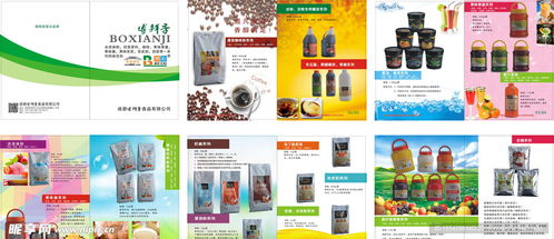 融合科技與美學 食品畫冊設計與定制化軟件開發(fā)的雙重創(chuàng)新