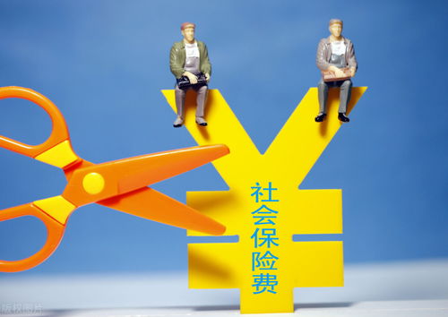 車(chē)輛保險(xiǎn)費(fèi)與勞務(wù)服務(wù)的進(jìn)項(xiàng)稅額扣除問(wèn)題解析