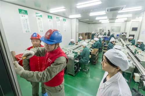 服務社會民生經濟，助推蘄春高質量發(fā)展· 蘄春供電公司勞務服務工作紀實